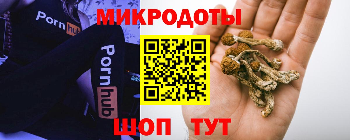 Галлюциногенные грибы MAGIC MUSHROOMS Чернушка